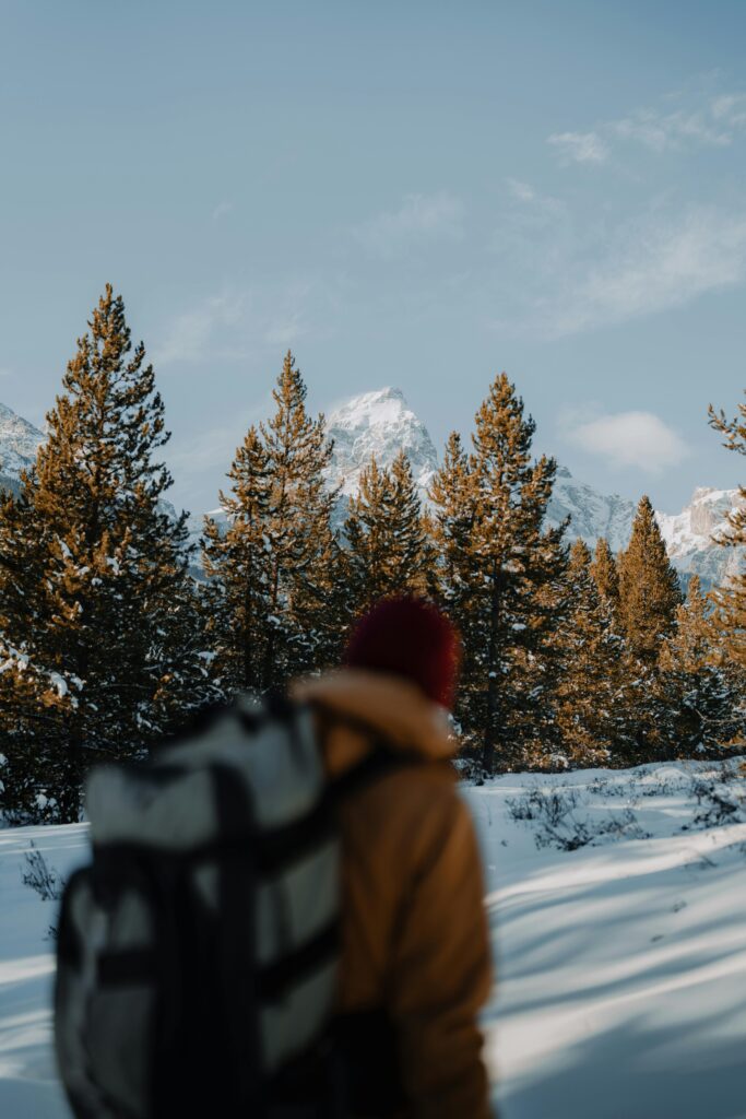 Man surrounded by trees hiking in a winter landscape